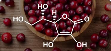 Estratto di frutti di mirtillo rosso